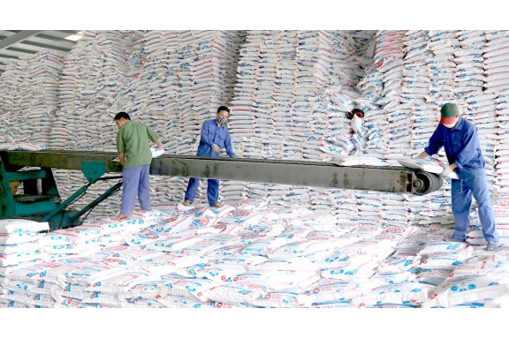 Công ty Lâm Thao đề xuất tháo gỡ khó khăn cho doanh nghiệp phân bón