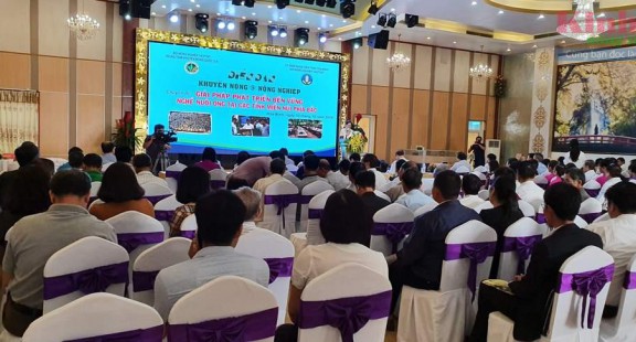 Tìm giải pháp phát triển bền vững nghề nuôi ong