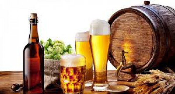 Vi sinh vật lên men trong mạch nha và sản xuất bia