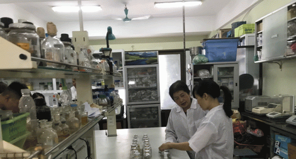 Xử lý rác thải nhựa bằng nguyên liệu di truyền bản địa