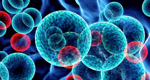 Hạt nano từ tính, giải pháp mới điều trị ung thư
