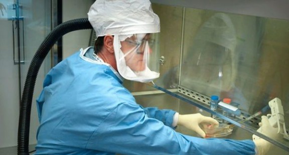 Virus mới ở Trung Quốc: Các nhà khoa học đi tìm câu trả lời cho 5 câu hỏi