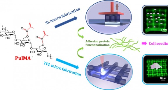 Mỹ phát triển màng lọc hydrogel để tái sử dụng nước