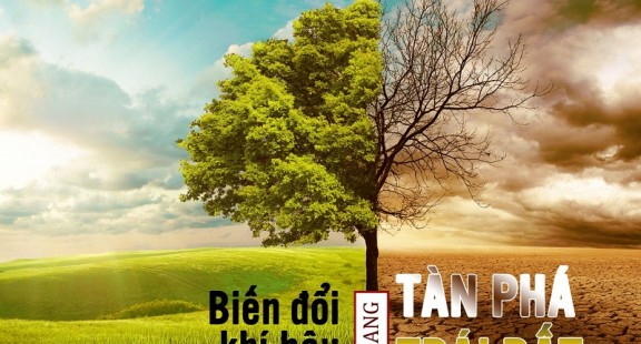 Bốn vũ khí hữu hiệu cho cuộc chiến chống lại biến đổi khí hậu