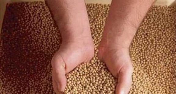 Các đơn vị sản xuất thức ăn chăn nuôi “tiếng tăm” có đang vi phạm tiêu chuẩn chất lượng?