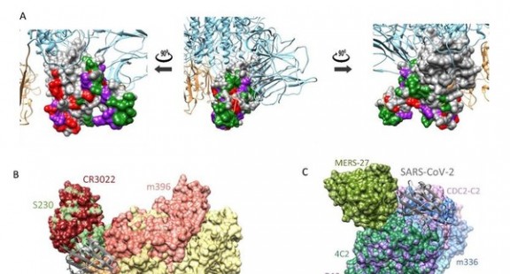 Virus corona chủng mới xuất hiện 40 biến thể, có thể lây nhiễm mạnh hơn