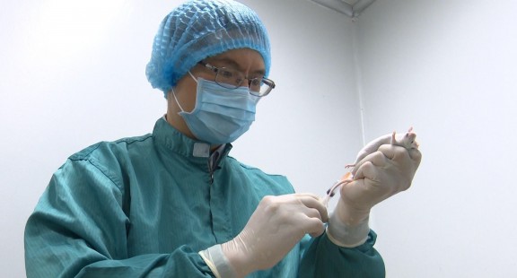 Thử nghiệm thành công văcxin Covid-19 giai đoạn 2