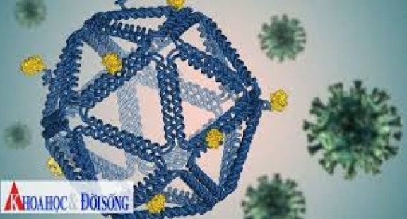 Công nghệ xác định cấu trúc ADN giúp điều chế văcxin