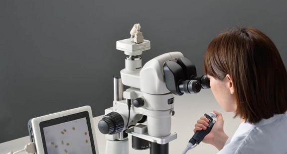 Đẩy nghiên cứu virus đến giới hạn: Những kiến thức từ kính hiển vi định vị đơn phân tử