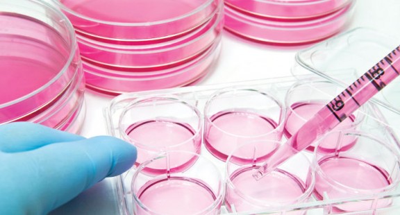 Khám phá vượt ngoài giới hạn của các thử nghiệm điểm cuối với phân tích và hình ảnh tế bào sống