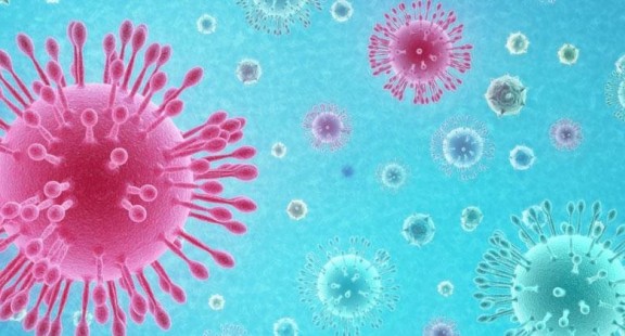Virus lai phục vụ nghiên cứu an toàn và phát triển văcxin