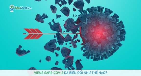 Vi rút được tạo ra từ phòng thử nghiệm giống vi rút COVID-19