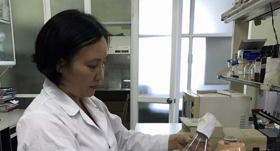 Chế phẩm sinh học phân hủy nhựa cây