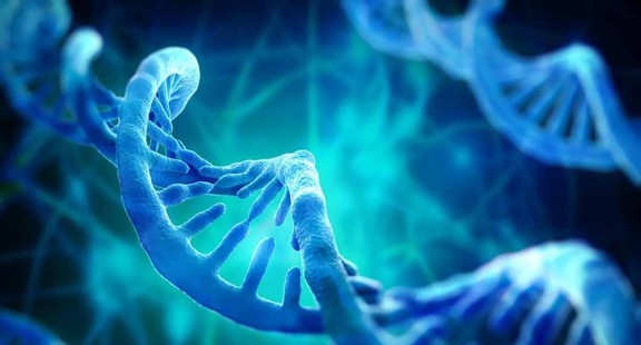 Nghiên cứu biến đổi của gen ở bệnh nhân ung thư vú người Việt Nam