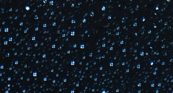 Tương tác DNA- Peptide có thể giúp hình thành cấu trúc sinh học