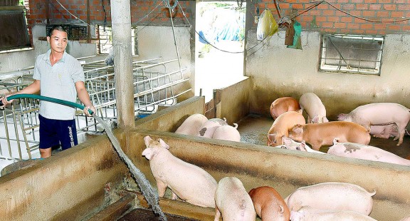 Tối ưu công nghệ xử lý yếm khí nước thải giàu hữu cơ