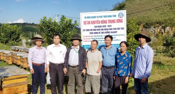 Nuôi ong theo hướng VietGAHP để nâng cao chất lượng sản phẩm