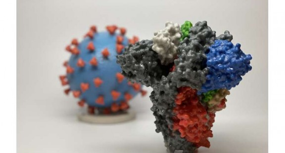 Biến chủng virus ở Nam Phi có thể gây ra nguy cơ tái nhiễm