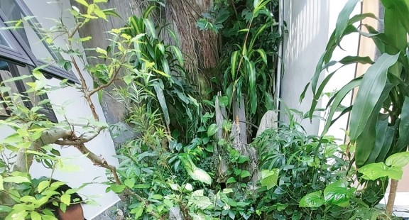 Những đam mê và thú chơi tao nhã giúp tâm hồn ở tuổi nghỉ hưu luôn tươi trẻ an yên