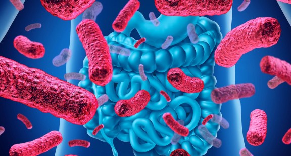 Hơn 140.000 loài virus đang sống trong ruột người, một nửa số này chưa từng được biết đến trước đây