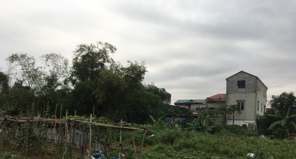 Thị xã Từ Sơn - (Bắc Ninh): Buông lỏng quản lý, nhiều công trình xây dựng không phép trên đất nông nghiệp
