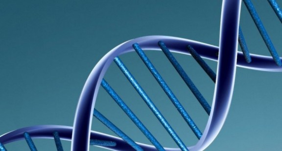 Đã có thể gắn nhãn, truy xuất các tệp dữ liệu DNA