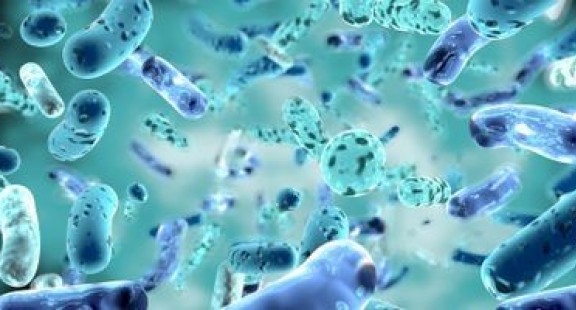Chiến lược mới cho phát triển thuốc: Giữ nguyên tử đồng gần hơn để vi khuẩn tránh xa