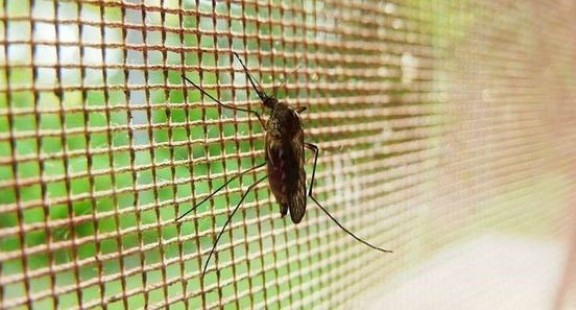 Nghiên cứu hợp chất chống sốt rét liều đơn