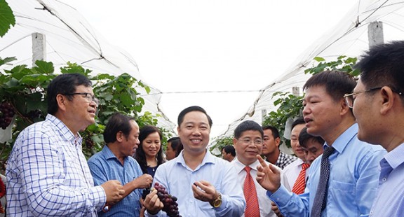 Trồng khảo nghiệm thành công nhiều giống cây mới tại Bắc Giang