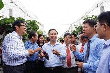 Trồng khảo nghiệm thành công nhiều giống cây mới tại Bắc Giang