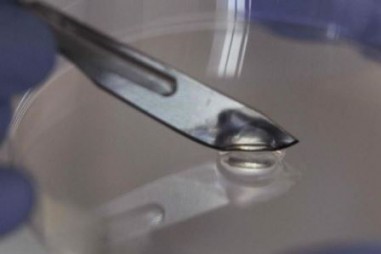 Sử dụng virus diệt khuẩn để sản xuất gel tự sửa chữa