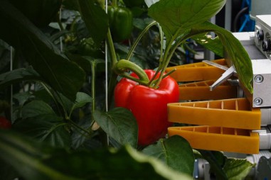 Robot đang định hình tương lai của nông nghiệp