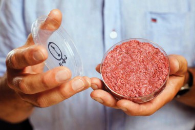 Sản xuất thịt mà không cần sát sinh: Khoa học đã thực hiện được thành công điều không tưởng này