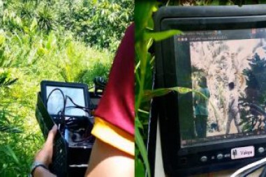 Giám sát quản lý rừng bằng mạng cảm biến không dây hỗn hợp