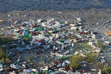 Vi khuẩn có thể giúp phân hóa rác thải nhựa, làm sạch môi trường