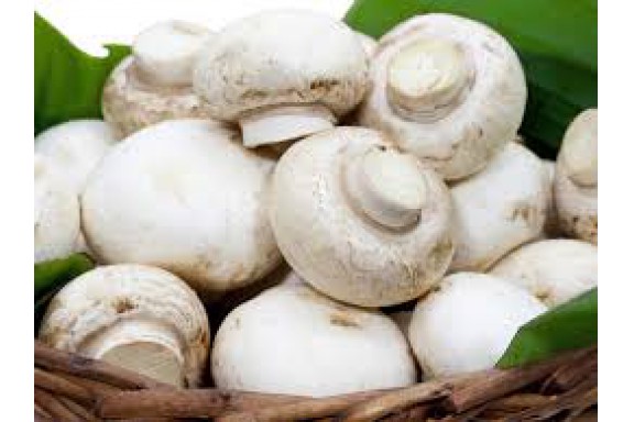 Chuyên gia Nhật Bản tìm ra thực phẩm đơn giản ngừa ung thư tuyến tiền liệt