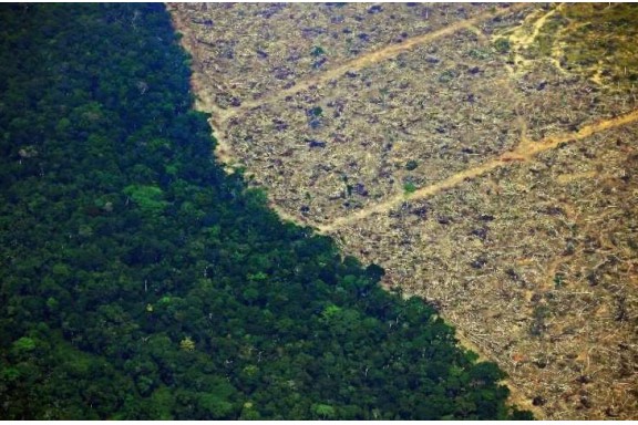Sự ổn định của khí hậu Trái đất phụ thuộc vào rừng Amazon