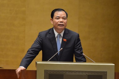 Bộ trưởng Nguyễn Xuân Cường trả lời chất vấn: Nghị trường “nóng” chuyện giải cứu nông sản, tàu 67; gỡ thẻ vàng EU