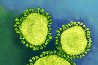 2019-nCoV: Các phòng thí nghiệm trên thế giới đang chờ đợi phân tích các mẫu virus sống