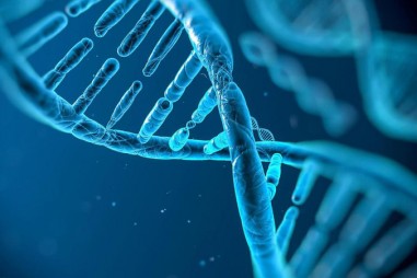 Khám phá bí ẩn về 2 mã gen có khả năng giúp con người chống lại quá trình lão hóa