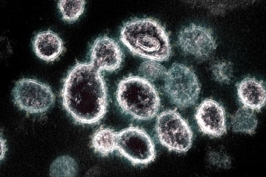 Khả năng giải phóng virus của người nhiễm nCoV