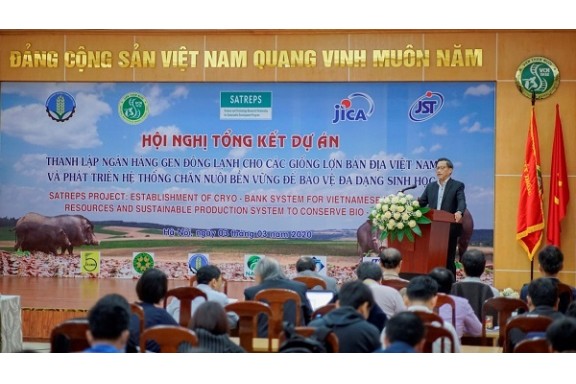 Bảo tồn và sử dụng nguồn tài nguyên lợn bản địa của Việt Nam