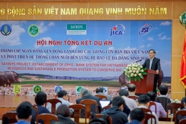 Bảo tồn và sử dụng nguồn tài nguyên lợn bản địa của Việt Nam