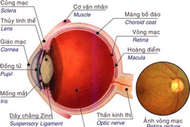 Thiết bị đặc biệt mới giúp phát hiện sớm các vấn đề về thị lực