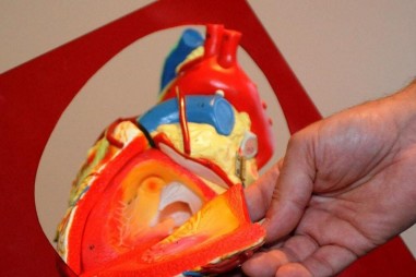 Chẩn đoán và điều bị bệnh tim bằng công nghệ lượng tử