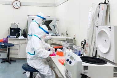 Việt Nam có 8 đóng góp vào cơ sở dữ liệu GISAID về thông tin giải trình tự gene virus SARS-CoV-2