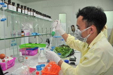 Nông nghiệp hữu cơ theo tiêu chuẩn Việt Nam