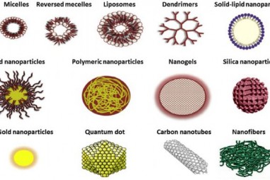 Phát triển hệ nano để thuốc hấp thụ nhanh hơn