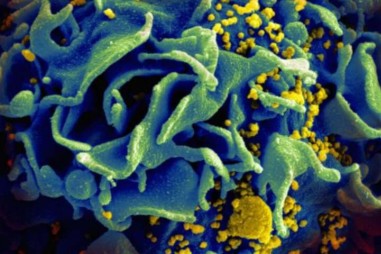 Phát triển phân tử nano ngăn chặn lây nhiễm virus HIV