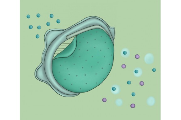 Màng lọc thay thế mang lại hiệu quả cao hơn cho khẩu trang N95